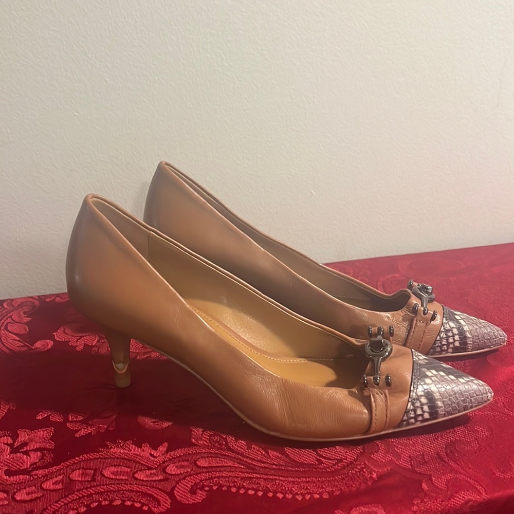 Coach Pumps with Snakeskin and Lock at Toe